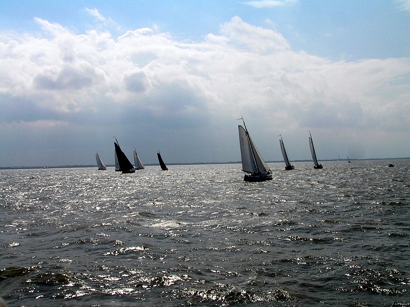 Lemsteraak_Ahoy2008 (17).jpg